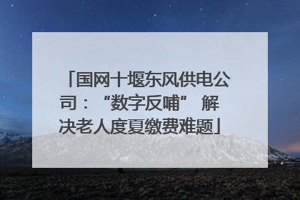 国网十堰东风供电公司：“数字反哺” 解决老人度夏缴费难题